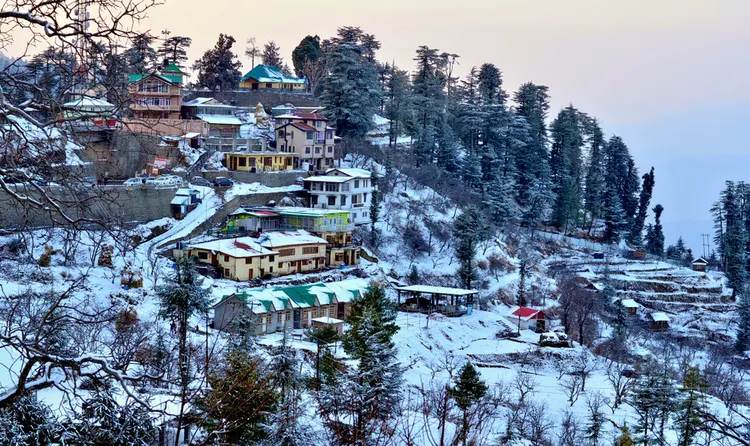 Kasauli Car Tour Package